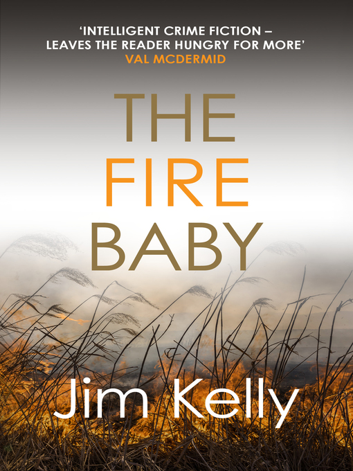 Title details for The Fire Baby by Jim Kelly - Available
